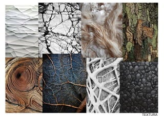 TEXTURA
 