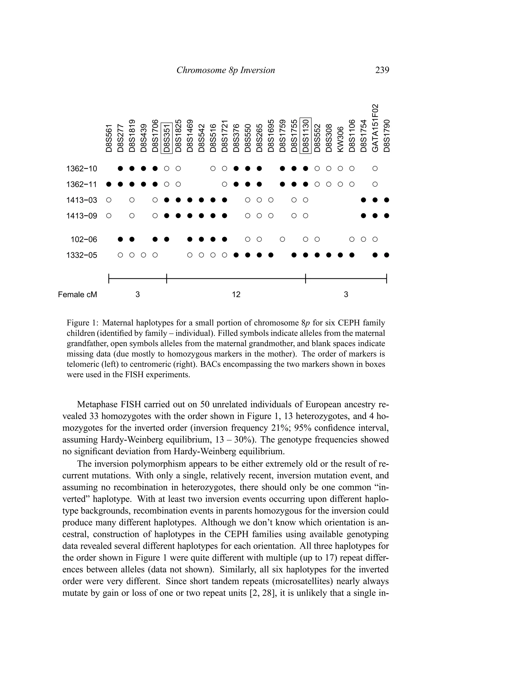 Chromosome 8p Inversion                                    239




             GATA151F02
             D8S1819

             D8S1706

             D8S1825
             D8S1469



             D8S1721




             D8S1695
             D8S1759
             D8S1755
             D8S1130




             D8S1106
             D8S1754

             D8S1790
             D8S561
             D8S277

             D8S439

             D8S351



             D8S542
             D8S516

             D8S376
             D8S550
             D8S265




             D8S552
             D8S308
             KW306
  1362−10
  1362−11
  1413−03
  1413−09

   102−06
  1332−05



Female cM             3                           12                               3


  Figure 1: Maternal haplotypes for a small portion of chromosome 8p for six CEPH family
  children (identiﬁed by family – individual). Filled symbols indicate alleles from the maternal
  grandfather, open symbols alleles from the maternal grandmother, and blank spaces indicate
  missing data (due mostly to homozygous markers in the mother). The order of markers is
  telomeric (left) to centromeric (right). BACs encompassing the two markers shown in boxes
  were used in the FISH experiments.


     Metaphase FISH carried out on 50 unrelated individuals of European ancestry re-
 vealed 33 homozygotes with the order shown in Figure 1, 13 heterozygotes, and 4 ho-
 mozygotes for the inverted order (inversion frequency 21%; 95% conﬁdence interval,
 assuming Hardy-Weinberg equilibrium, 13 – 30%). The genotype frequencies showed
 no signiﬁcant deviation from Hardy-Weinberg equilibrium.
     The inversion polymorphism appears to be either extremely old or the result of re-
 current mutations. With only a single, relatively recent, inversion mutation event, and
 assuming no recombination in heterozygotes, there should only be one common “in-
 verted” haplotype. With at least two inversion events occurring upon different haplo-
 type backgrounds, recombination events in parents homozygous for the inversion could
 produce many different haplotypes. Although we don’t know which orientation is an-
 cestral, construction of haplotypes in the CEPH families using available genotyping
 data revealed several different haplotypes for each orientation. All three haplotypes for
 the order shown in Figure 1 were quite different with multiple (up to 17) repeat differ-
 ences between alleles (data not shown). Similarly, all six haplotypes for the inverted
 order were very different. Since short tandem repeats (microsatellites) nearly always
 mutate by gain or loss of one or two repeat units [2, 28], it is unlikely that a single in-
 