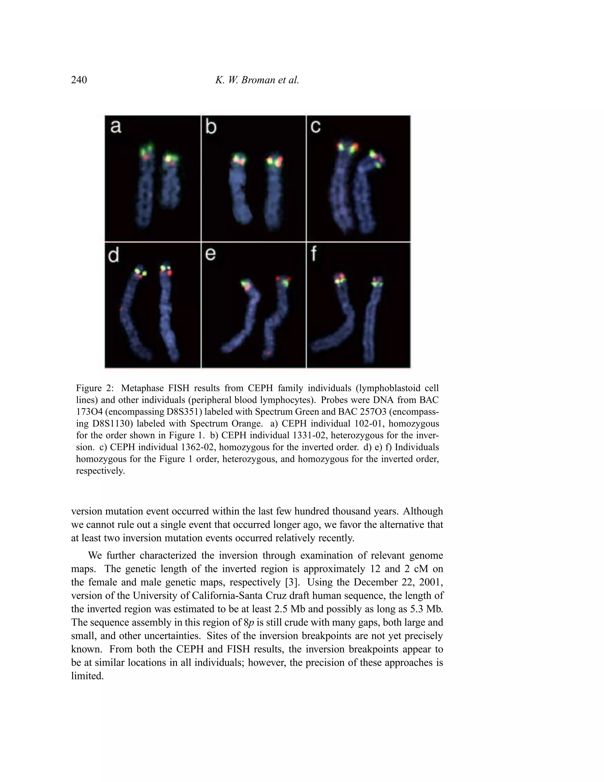 240                                K. W. Broman et al.




 Figure 2: Metaphase FISH results from CEPH family individuals (lymphoblastoid cell
 lines) and other individuals (peripheral blood lymphocytes). Probes were DNA from BAC
 173O4 (encompassing D8S351) labeled with Spectrum Green and BAC 257O3 (encompass-
 ing D8S1130) labeled with Spectrum Orange. a) CEPH individual 102-01, homozygous
 for the order shown in Figure 1. b) CEPH individual 1331-02, heterozygous for the inver-
 sion. c) CEPH individual 1362-02, homozygous for the inverted order. d) e) f) Individuals
 homozygous for the Figure 1 order, heterozygous, and homozygous for the inverted order,
 respectively.



version mutation event occurred within the last few hundred thousand years. Although
we cannot rule out a single event that occurred longer ago, we favor the alternative that
at least two inversion mutation events occurred relatively recently.
    We further characterized the inversion through examination of relevant genome
maps. The genetic length of the inverted region is approximately 12 and 2 cM on
the female and male genetic maps, respectively [3]. Using the December 22, 2001,
version of the University of California-Santa Cruz draft human sequence, the length of
the inverted region was estimated to be at least 2.5 Mb and possibly as long as 5.3 Mb.
The sequence assembly in this region of 8p is still crude with many gaps, both large and
small, and other uncertainties. Sites of the inversion breakpoints are not yet precisely
known. From both the CEPH and FISH results, the inversion breakpoints appear to
be at similar locations in all individuals; however, the precision of these approaches is
limited.
 