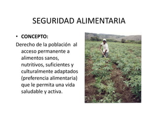 SEGURIDAD ALIMENTARIA
• CONCEPTO:
Derecho de la población  al 
  acceso permanente a 
  alimentos sanos, 
  nutritivos, suficientes y 
  culturalmente adaptados 
  (preferencia alimentaria) 
  que le permita una vida 
  saludable y activa.
 