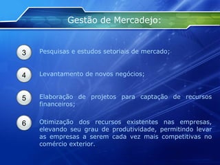 Gestão de Mercadejo: 3 Pesquisas e estudos setoriais de mercado;  4 Levantamento de novos negócios;  5 Elaboração de projetos para captação de recursos financeiros;  6 Otimização dos recursos existentes nas empresas, elevando seu grau de produtividade, permitindo levar as empresas a serem cada vez mais competitivas no comércio exterior.  