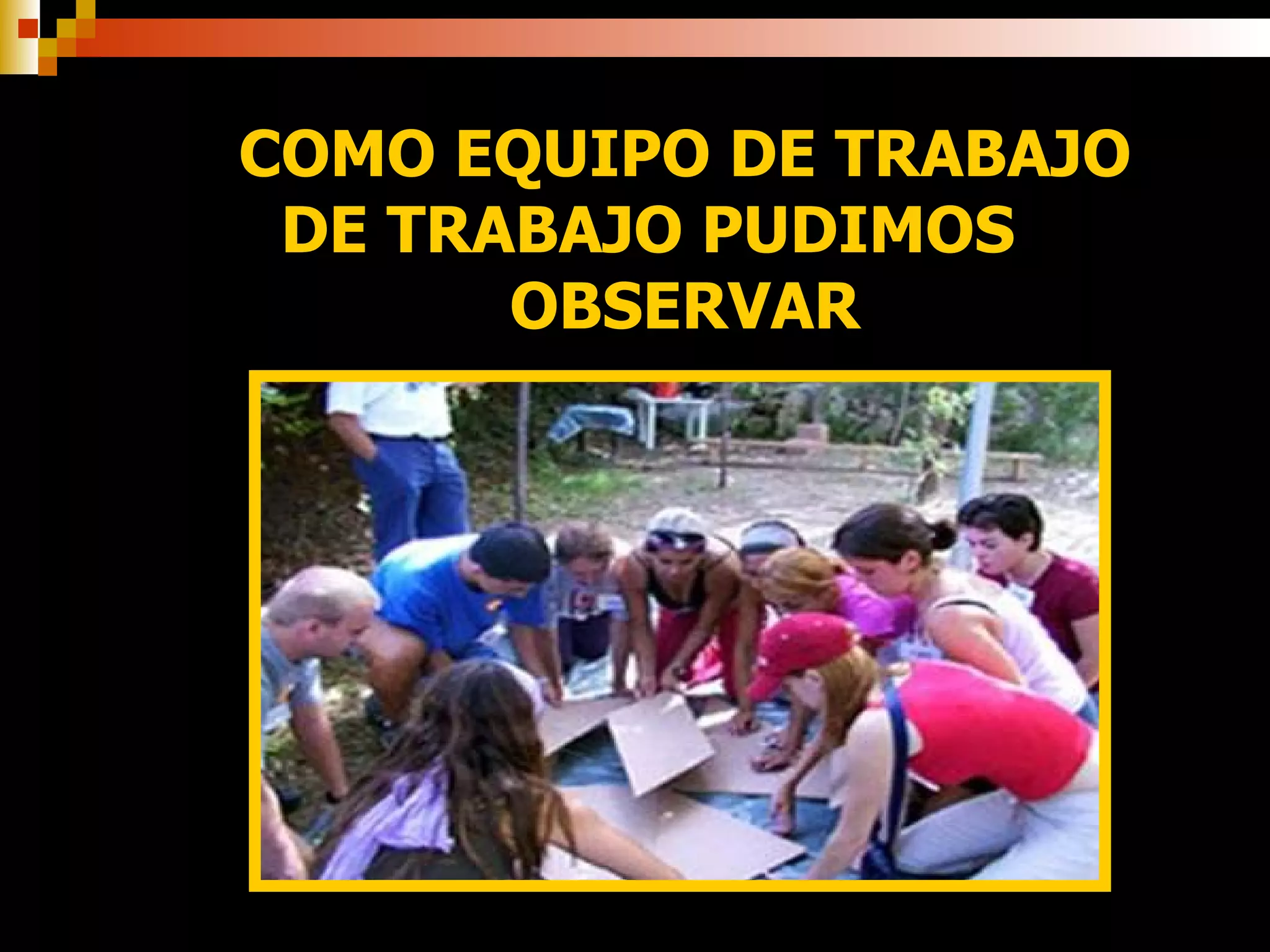 COMO EQUIPO DE TRABAJO DE TRABAJO PUDIMOS  OBSERVAR 