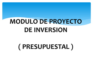 MODULO DE PROYECTO
DE INVERSION
( PRESUPUESTAL )
 