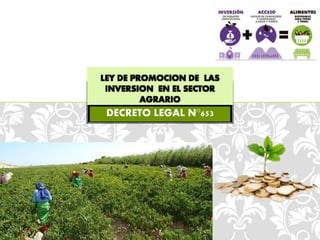DECRETO LEGAL N°653
LEY DE PROMOCION DE LAS
INVERSION EN EL SECTOR
AGRARIO
 
