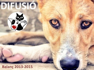 DIFUSIÓ
Balanç 2013-2015
 
