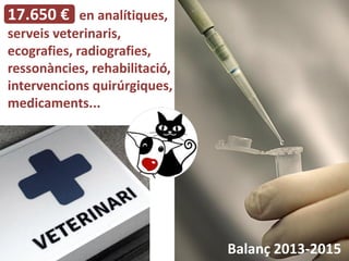 17.650 € en analítiques,
serveis veterinaris,
ecografies, radiografies,
ressonàncies, rehabilitació,
intervencions quirúrg...
