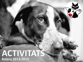 ACTIVITATSBalanç 2013-2015
 