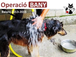 Balanç 2013-2015
Operació BANY
 