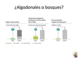 ¿Algodonales o bosques?
 