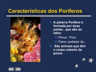 Características dos Poríferos A palavra Porífero é formada por duas partes , que são do latim: Porus : Poro Ferre: portador de.. São animais que têm o corpo coberto de poros. 