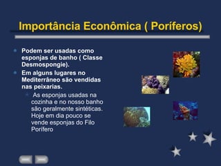 Importância Econômica ( Poríferos) Podem ser usadas como esponjas de banho ( Classe Desmospongie). Em alguns lugares no Mediterrâneo são vendidas nas peixarias. As esponjas usadas na cozinha e no nosso banho são geralmente sintéticas. Hoje em dia pouco se vende esponjas do Filo Porífero 