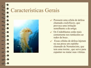 Características Gerais Possuem uma célula de defesa chamada  cnidoblasto,  que provoca uma irritação semelhante a da urtiga. Os Cnidoblastos estão mais comumente nos tentáculos ao redor da boca . Essas células de defesa injetam na sua presa um espinho chamado de Nematocisto, que tem uma toxina , que serve para espantar ou matar suas vítimas.  