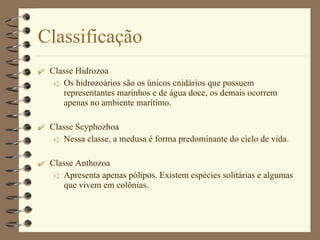 Classificação Classe Hidrozoa Os hidrozoários são os únicos cnidários que possuem representantes marinhos e de água doce, os demais ocorrem apenas no ambiente marítimo. Classe Scyphozhoa Nessa classe, a medusa é forma predominante do ciclo de vida. Classe Anthozoa Apresenta apenas pólipos. Existem espécies solitárias e algumas que vivem em colônias. 