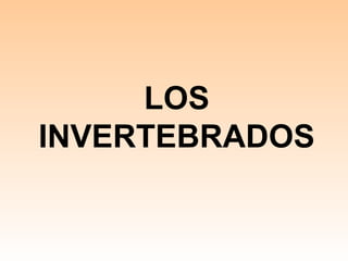 LOS
INVERTEBRADOS

 