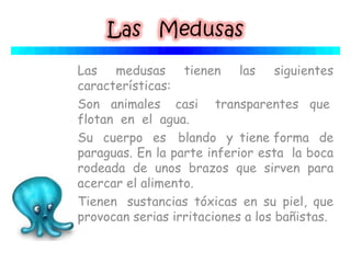 Las medusas tienen las siguientes
características:
Son animales  casi  transparentes que 
flotan  en  el  agua.
Su  cuerpo  es  blando  y tiene forma  de
paraguas. En la parte inferior esta  la boca
rodeada de unos brazos que sirven para
acercar el alimento.
Tienen  sustancias tóxicas en su piel, que
provocan serias irritaciones a los bañistas.
 
 