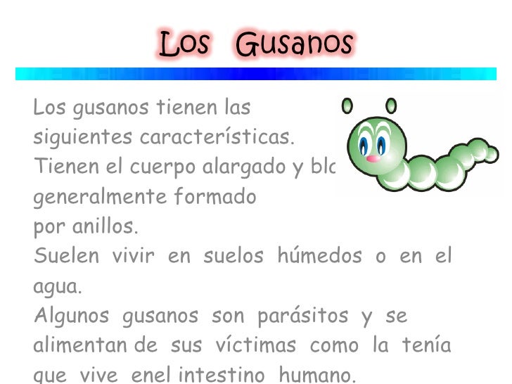 Invertebrados Invertebrados