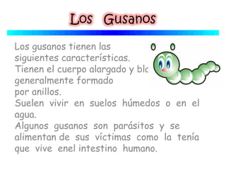 Los gusanos tienen las
siguientes características.
Tienen el cuerpo alargado y blando, 
generalmente formado
por anillos.
Suelen  vivir  en  suelos  húmedos  o  en  el 
agua.
Algunos  gusanos  son  parásitos  y  se 
alimentan de  sus  víctimas  como  la  tenía 
que  vive  enel intestino  humano.
 