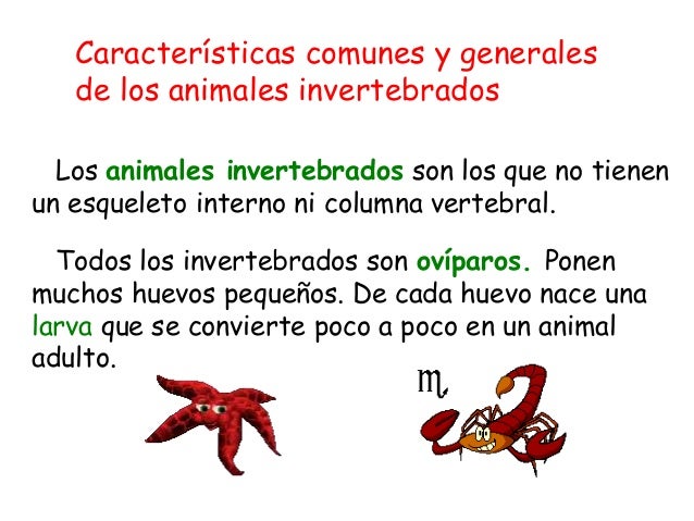 Las causas del surgimiento de los helmintos
