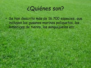 		IDEAS PRINCIPALES	  DE LOS                                                                    MOLUSCOS