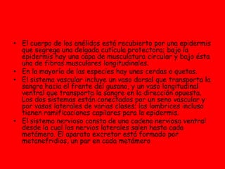   CEFALÓPODOS Son moluscos sin concha externa visible. GASTERÓPODOS Son moluscos con una concha externa.ESCAFÓPODOS Son moluscos con concha tipo “colmillo de elefante”.     BIVALVOS Son moluscos que presentan dos conchas (valvas).POLIPLACÓROS Son moluscos con ocho conchas articuladas.Trabajo realizado por:Mar , Núria , Alba y Diana.