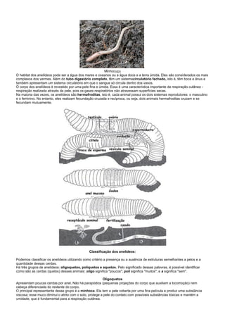 Minhocuçu
O habitat dos anelídeos pode ser a água dos mares e oceanos ou a água doce e a terra úmida. Eles são considerados os mais
complexos dos vermes. Além do tubo digestório completo, têm um sistemacirculatório fechado, isto é, têm boca e ânus e
também apresentam um sistema circulatório em que o sangue só circula dentro dos vasos.
O corpo dos anelídeos é revestido por uma pele fina e úmida. Essa é uma característica importante da respiração cutânea -
respiração realizada através da pele, pois os gases respiratórios não atravessam superfícies secas.
Na maioria das vezes, os anelídeos são hermafroditas, isto é, cada animal possui os dois sistemas reprodutores: o masculino
e o feminino. No entanto, eles realizam fecundação cruzada e recíproca, ou seja, dois animais hermafroditas cruzam e se
fecundam mutuamente.




                                               Classificação dos anelídeos:

Podemos classificar os anelídeos utilizando como critério a presença ou a ausência de estruturas semelhantes a pelos e a
quantidade dessas cerdas.
Há três grupos de anelídeos: oligoquetos, poliquetos e aquetos. Pelo significado dessas palavras, é possível identificar
como são as cerdas (quetos) desses animais: oligo significa "poucos"; poli significa "muitos"; e a significa "sem".

                                                         Oligoquetos
Apresentam poucas cerdas por anel. Não há parapódios (pequenas projeções do corpo que auxiliam a locomoção) nem
cabeça diferenciada do restante do corpo.
O principal representante desse grupo é a minhoca. Ela tem a pele coberta por uma fina película e produz uma substância
viscosa; esse muco diminui o atrito com o solo, protege a pele do contato com possíveis substâncias tóxicas e mantém a
umidade, que é fundamental para a respiração cutânea.
 