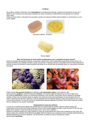 Poríferos

Os poríferos, também conhecidos como espongiários ou simplesmente esponjas, surgiram provavelmente há cerca de 1
bilhão de anos. Supõe-se que eles sejam originados de seres unicelulares e heterótrofos que se agrupam em colônias.
Veja o texto:
Talvez ao tomar banho, você goste de se ensaboar usando uma esponja sintética, feita de plástico ou de borracha, ou uma
bucha vegetal.




                                          Esponjas sintéticas de banho




                                                      Bucha vegetal

                Mas você já pensou em tomar banho ensaboando-se com o esqueleto de algum animal?
Antes da invenção das esponjas sintéticas, as esponjas naturais eram muito usadas pelas pessoas para tomar banho e na
limpeza doméstica, para esfregar panelas e copos, por exemplo. A esponja natural é o esqueleto macio de certas espécies de
animais do grupo dos poríferos; esses esqueletos são feitos de um emaranhado de delicadas fibras de uma proteína chamada
espongina.




Esses animais não possuem tecidos bem definidos e não apresentam órgãos e nem sistemas. São
exclusivamente aquáticos, predominantemente marinhos, mas existem algumas espécies que vivem em água doce.
Os poríferos vivem fixos a rochas ou a estruturas submersas, como conchas, onde podem formar colônias de coloração
variadas. Podem ses encontrados desde as regiões mais rasas das praias até profundidades de aproximadamente 6 mil
metros. Alimentam-se de restos orgânicos ou de microorganismos que capturam filtrando a água que penetra em seu corpo,
como veremos adiante. Por sua vez, servem de alimento para algumas espécies de animais, como certos moluscos, ouriços-
do-mar, estrelas-do-mar, peixes e tartarugas.

                                           Organização do corpo dos poríferos
O corpo de um porífero possui células que apresentam uma certa divisão de trabalho. Algumas dessas células são
organizadas de tal maneira que formam pequenos orifícios, denominados poros, em todo o corpo do animal. É por isso que
esses seres recebem o nome de poríferos (do latim porus: 'poro'; ferre: 'portador').
Observe no esquema abaixo que a água penetra no corpo do animal através dos vários poros existentes em seu corpo. Ela
alcança então uma cavidade central denominada átrio. Observe também que a parede do corpo é revestida externamente por
células achatadas que formam a epiderme. Já internamente, a parede do corpo é revestida por células
denominadas coanócitos.
 