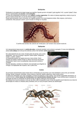 Quilópodes

Quilópode é uma palavra de origem grega que significa "aquela que tem mil patas" (quilo significa "mil", e podos "patas"). Esse
grupo é representado pela lacraia e pela centopéia.
O corpo dos quilópodes é formado por uma cabeça e muitos segmentos. Em cada um desses segmentos, existe um par de
pernas. Esses animais têm um par de antenas longas na cabeça.
Esses seres terrestres vivem na sombra, em regiões quentes e em locais bastante úmidos. São ovíparos, carnívoros e
predadores. Eles possuem veneno, que é inoculo no inimigo ou na presa.




                  O venêno das lacraias não costuma ser mortal para o ser humano mas causam muita dor.

                                                         Diplópodes

Um representante desse grupo é o piolho-de-cobra, conhecido também como embuá ou gongolo. O corpo dos diplópodes
possui uma cabeça com uma par de antenas curtas e tem também vários segmentos.

Em cada segmento do seu corpo, há dois pares de pernas, daí o nome
diplópodes - que vem do grego e significa "patas duplas" (disignifica
"duplo", e podos, "patas").
Os diplópodes gostam de lugares escuros e terra úmida. Vivem
embaixo de pedras e folhas mortas ou dentro de troncos de árvores
apodrecidos. Assim como os quilópodes, eles procuram sombra e
umidade.
Quando atacados, enrolam-se e liberam uma secreção que afugenta os
inimigos. Os diplópodes são ovíparos, isto é, pões ovos.


                                                           Insetos

Os principais representantes dessa classe são os artrópodes que encontram com mais facilidade no dia-a-dia; por exemplo:
formiga, barata, mosquito, borboleta, mosca, besouro, joaninha, abelha, gafanhoto, entre muitos outros.
A classe dos artrópodes com maior variedade e número de espécies é a dos insetos. Com grande capacidade reprodutiva, os
insetos formam a única classe de invertebrados com representantes dotados de asas, o que contribui para o sucesso na
ocupação de todos os ambientes do planeta exceto as águas oceânicas mais profundas.
Na cabeça há um par de antenas e uma par de olhos, além do aparelho bucal. O tipo de aparelho bucal relaciona-se ao tipo de
alimentação do inseto e é utilizado pelos cientistas como um dos principais critérios de classificação.
 