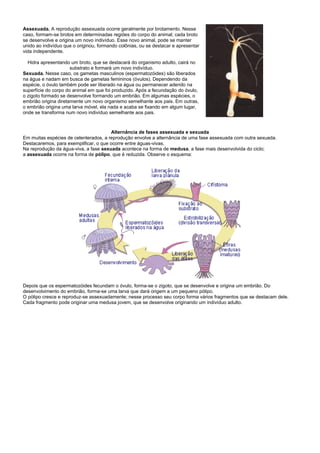 Assexuada. A reprodução assexuada ocorre geralmente por brotamento. Nesse
caso, formam-se brotos em determinadas regiões do corpo do animal; cada broto
se desenvolve e origina um novo indivíduo. Esse novo animal, pode se manter
unido ao indivíduo que o originou, formando colônias, ou se destacar e apresentar
vida independente.

  Hidra apresentando um broto, que se destacará do organismo adulto, cairá no
                      substrato e formará um novo indivíduo.
Sexuada. Nesse caso, os gametas masculinos (espermatozóides) são liberados
na água e nadam em busca de gametas femininos (óvulos). Dependendo da
espécie, o óvulo também pode ser liberado na água ou permanecer aderido na
superfície do corpo do animal em que foi produzido. Após a fecundação do óvulo,
o zigoto formado se desenvolve formando um embrião. Em algumas espécies, o
embrião origina diretamente um novo organismo semelhante aos pais. Em outras,
o embrião origina uma larva móvel, ela nada e acaba se fixando em algum lugar,
onde se transforma num novo indivíduo semelhante aos pais.



                                        Alternância de fases assexuada e sexuada
Em muitas espécies de celenterados, a reprodução envolve a alternância de uma fase assexuada com outra sexuada.
Destacaremos, para exemplificar, o que ocorre entre águas-vivas.
Na reprodução da água-viva, a fase sexuada acontece na forma de medusa, a fase mais desenvolvida do ciclo;
a assexuada ocorre na forma de pólipo, que é reduzida. Observe o esquema:




Depois que os espermatozóides fecundam o óvulo, forma-se o zigoto, que se desenvolve e origina um embrião. Do
desenvolvimento do embrião, forma-se uma larva que dará origem a um pequeno pólipo.
O pólipo cresce e reproduz-se assexuadamente; nesse processo seu corpo forma vários fragmentos que se destacam dele.
Cada fragmento pode originar uma medusa jovem, que se desenvolve originando um indivíduo adulto.
 