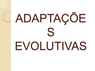 Possuem exoesqueleto, este composto por substâncias calcárias que o torna rígido e a quitina, uma das funções da quitina é impedir que o animal perca água, o que poderia desidratá- lo.São dotados de patas e prolongamentos, estes chamados apêndices. O corpo é dividido em cefalotórax e abdome. O cefalotórax é formado pela fusão da cabeça com o tórax, é coberto pelo prolongamento do exoesqueleto, a carapaça, a extremidade dela é chamada rostro. Na cabeça há um par de olhos, dois pares de antenas sensoriais e um par de mandíbulas para mastigação, a boca localiza- se entre elas e dois pares de maxilas.Durante a vida do animal ocorre periodicamente a muda. Um novo exoesqueleto se desenvolve embaixo do antigo e depois se solta dele, exoesqueleto antigo se rompe e o animal sai do revestimento. O exoesqueleto que se formou permite o crescimento do crustáceo por um período devido a sua flexibilidade. Depois o exoesqueleto endurece, interrompendo o crescimento.