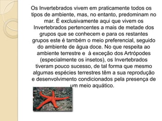 Os primeiros invertebrados provavelmente habitavam a areia e o lodo do fundo do mar há uns 600 milhões ou um pouco mais de anos. O ambiente era propício para se esconderem e encontrar bastante alimento, que afundava na água.