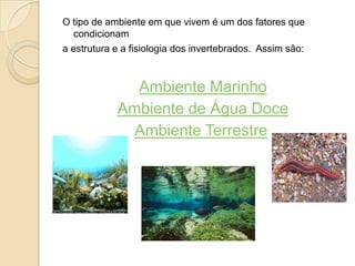 Os Invertebrados vivem em praticamente todos os tipos de ambiente, mas, no entanto, predominam no mar. É exclusivamente aqui que vivem os Invertebrados pertencentes a mais de metade dos grupos que se conhecem e para os restantes grupos este é também o meio preferencial, seguido do ambiente de água doce. No que respeita ao ambiente terrestre e  à exceção dos Artrópodes (especialmente os insetos), os Invertebrados tiveram pouco sucesso, de tal forma que mesmo algumas espécies terrestres têm a sua reprodução e desenvolvimento condicionados pela presença de um meio aquático.  