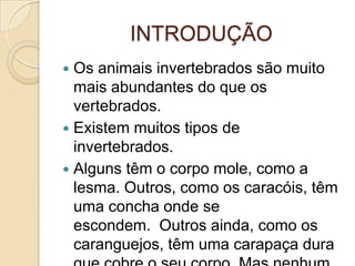 INTRODUÇÃOOs animais invertebrados são muito mais abundantes do que os vertebrados.Existem muitos tipos de invertebrados.Alguns têm o corpo mole, como a lesma. Outros, como os caracóis, têm uma concha onde se escondem.  Outros ainda, como os caranguejos, têm uma carapaça dura que cobre o seu corpo. Mas nenhum destes animais tem esqueleto interno.