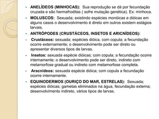 PORÍFEROS (ESPONJAS) : Células amebóides do corpo sofrem meiose e diferenciam-se em óvulos e espermatozóides. Os espermatozóides são liberados na água e penetram na parede do corpo das fêmeas, onde fecundam os óvulos.     ASSEXUADA:  por fragmentação e brotamento.     SEXUADA:  com desenvolvimento indireto.CELENTERADOS ( AGUAS VIVAS E ANÊMONAS-DO-MAR):  Pode ser: assexuada (brotamento) ou sexuada. É comum a ocorrência de metagênese ou alternância de gerações. No caso da alternância de gerações: a fase sexuada é representada pela forma medusóide;a fase assexuada, pela polipóide
