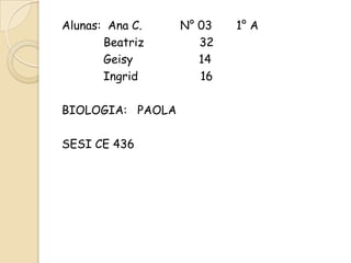 Invertebrados