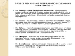 TIPOS DE MECANISMOS RESPIRATÓRIOS DOS ANIMAIS INVERTEBRADOS:  Filo Porífera, Cnidária, Platyelminthes e Nematoda – esses grupos não possuem sistema respiratório. As trocas gasosas ocorrem diretamente entre as células que constituem toda a estrutura corpórea e o ambiente, justificado pelo baixo grau de complexidade e diferenciação dos tecidos ou quanto à dimensão dos organismos. 