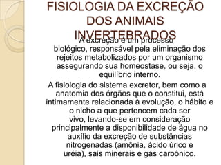 Filo Annelida – nos anelídeos, o processo respiratório apesar de bem simples, ocorre pela superfície corporal (cutânea) internamente irrigada por sangue. Em algumas espécies de anelídeos marinhos, a respiração é branquial.  Filo Mollusca – nos moluscos aquáticos a função respiratória ocorre através de brânquias, formando filamentos vascularizados, chamadas ctenídeos. Enquanto nas espécies terrestres existem sobreposições do tegumento contidas na cavidade palial, assemelhando-se a pulmões primitivos.  Filo Arthropoda – na maioria dos insetos a respiração é traqueal; nos aracnídeos além da traqueal também é observado a filotraqueal; e nos crustáceos o sistema é exclusivamente branquial.  Filo Echinodermata – reúnem animais com sistema respiratório ausente ou bem reduzido, ocorrendo por meio de brânquias que associadas ao sistema hidrovascular, facilitando essa função.