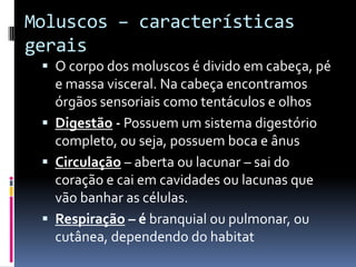 Moluscos – características
gerais
  O corpo dos moluscos é divido em cabeça, pé
   e massa visceral. Na cabeça encontramos
   órgãos sensoriais como tentáculos e olhos
  Digestão - Possuem um sistema digestório
   completo, ou seja, possuem boca e ânus
  Circulação – aberta ou lacunar – sai do
   coração e cai em cavidades ou lacunas que
   vão banhar as células.
  Respiração – é branquial ou pulmonar, ou
   cutânea, dependendo do habitat
 