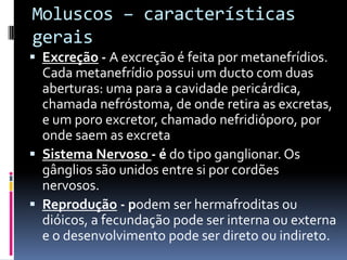 Moluscos – características
gerais
 Excreção - A excreção é feita por metanefrídios.
  Cada metanefrídio possui um ducto com duas
  aberturas: uma para a cavidade pericárdica,
  chamada nefróstoma, de onde retira as excretas,
  e um poro excretor, chamado nefridióporo, por
  onde saem as excreta
 Sistema Nervoso - é do tipo ganglionar. Os
  gânglios são unidos entre si por cordões
  nervosos.
 Reprodução - podem ser hermafroditas ou
  dióicos, a fecundação pode ser interna ou externa
  e o desenvolvimento pode ser direto ou indireto.
 