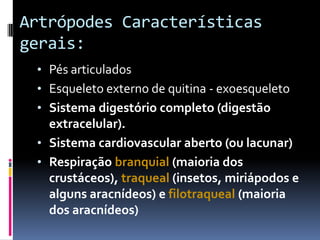 Artrópodes Características
gerais:
 • Pés articulados
 • Esqueleto externo de quitina - exoesqueleto
 • Sistema digestório completo (digestão
   extracelular).
 • Sistema cardiovascular aberto (ou lacunar)
 • Respiração branquial (maioria dos
   crustáceos), traqueal (insetos, miriápodos e
   alguns aracnídeos) e filotraqueal (maioria
   dos aracnídeos)
 