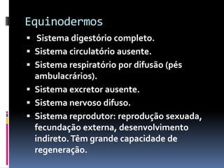 Equinodermos
 Sistema digestório completo.
 Sistema circulatório ausente.
 Sistema respiratório por difusão (pés
  ambulacrários).
 Sistema excretor ausente.
 Sistema nervoso difuso.
 Sistema reprodutor: reprodução sexuada,
  fecundação externa, desenvolvimento
  indireto. Têm grande capacidade de
  regeneração.
 