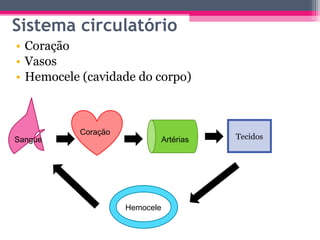 Sistema circulatório
• Coração
• Vasos
• Hemocele (cavidade do corpo)



          Coração
Sangue                         Artérias   Tecidos




                    Hemocele
 
