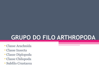 GRUPO DO FILO ARTHROPODA
• Classe Arachnida
• Classe Insecta
• Classe Diplopoda
• Classe Chilopoda
• Subfilo Crustacea
 