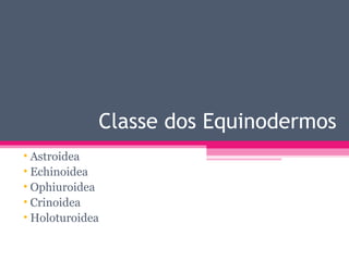 Classe dos Equinodermos
• Astroidea
• Echinoidea
• Ophiuroidea
• Crinoidea
• Holoturoidea
 