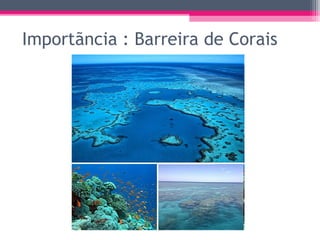 Importãncia : Barreira de Corais
 