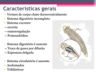 Características gerais
• Vermes de corpo chato dorsoventralmente
• Sistema digestório incompleto
• Sistema excretor
→ excreta
→ osmorregulação
→ Protonefrídios

• Sistema digestório é ausente
→ Troca de gases por difusão
→ Espessura delgada

• Sistema circulatório é ausente
• Acelomados
• Triblásticos
 