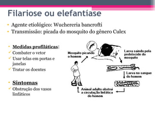 Filariose ou elefantíase
• Agente etiológico: Wuchereria bancrofti
• Transmissão: picada do mosquito do gênero Culex

• Medidas profiláticas:
 Combater o vetor
 Usar telas em portas e
  janelas
 Tratar os doentes


• Sintomas
 Obstrução dos vasos
  linfáticos
 