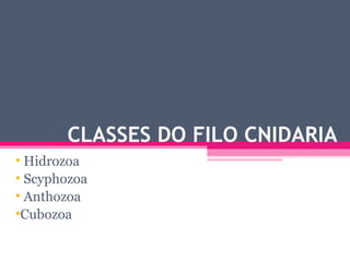 CLASSES DO FILO CNIDARIA
• Hidrozoa
• Scyphozoa
• Anthozoa
•Cubozoa
 