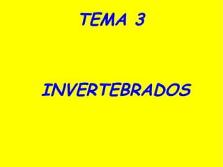 TEMA 3



INVERTEBRADOS
 