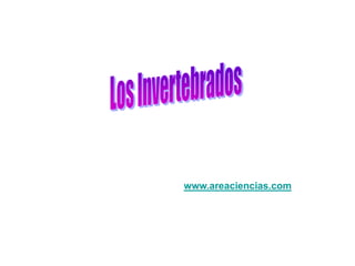 www.areaciencias.com
 