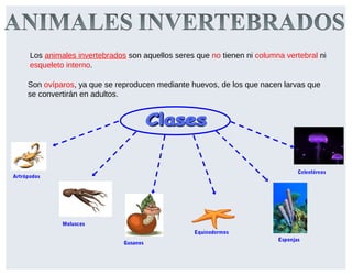 Esponjas
Equinodermos
Moluscos
Celentéreos
Artrópodos
Gusanos
Los animales invertebrados son aquellos seres que no tienen ni columna vertebral ni
esqueleto interno.
Son ovíparos, ya que se reproducen mediante huevos, de los que nacen larvas que
se convertirán en adultos.
 